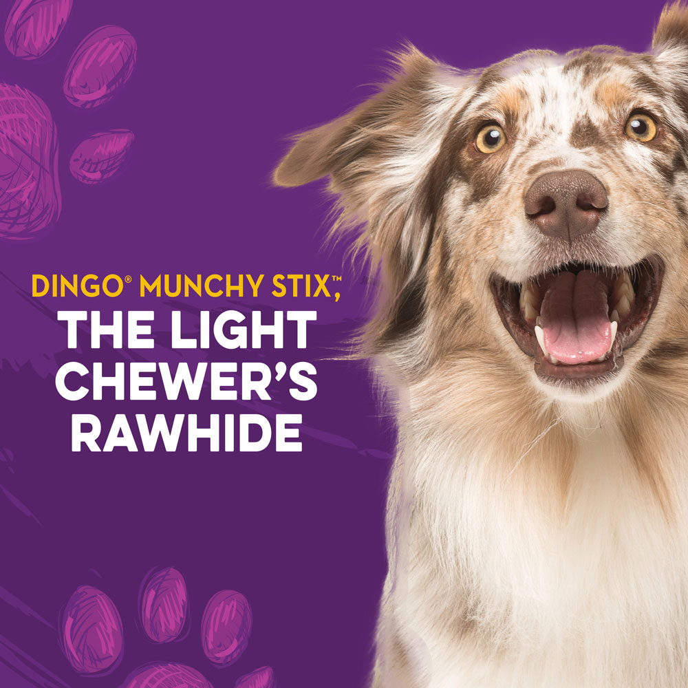Dingo munchy stix sale